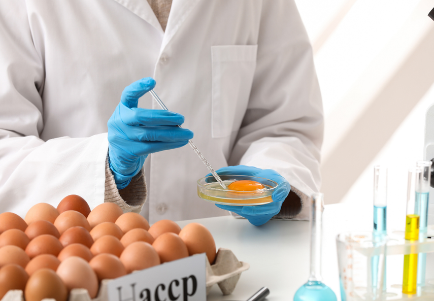 Pourquoi la formation HACCP est importante en restauration